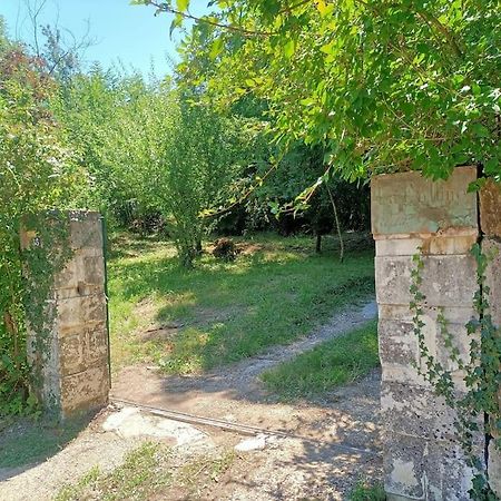 Villa La Colline Aux Oiseaux, La Tranquillite Des Bois Molieres-sur-Ceze Exterior foto